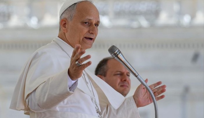 Pope Leo Condemns Surrogacy, Says It Reduces Children To Products